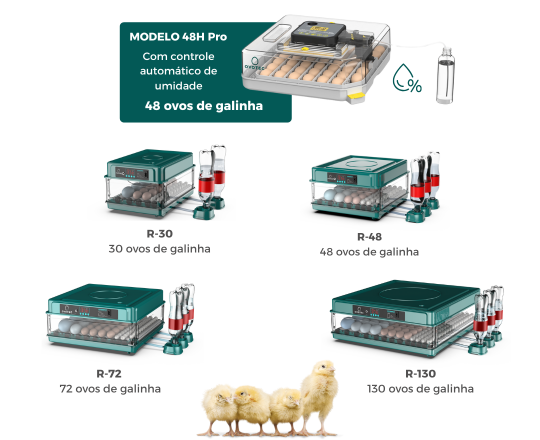 Como funciona